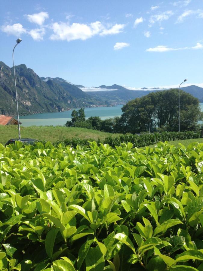 Villa Mirella: Casa Vista Lago Con Piscina Riva di Solto Eksteriør bilde